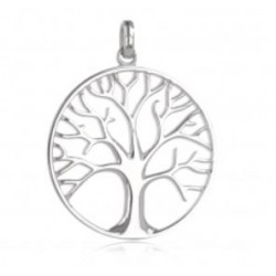 Pendentif argent 925/1000...