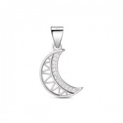 Pendentif argent 925/1000...