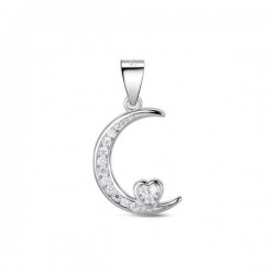 Pendentif argent 925/1000...