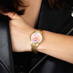Montre dame acier FESTINA...