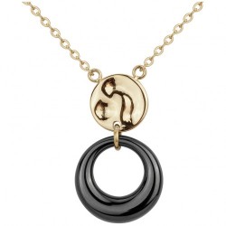 Collier acier doré et...