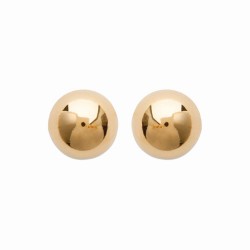 Boucles d'oreilles puces...
