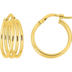 Boucles d'oreilles or...