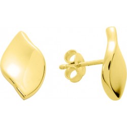 Boucles d'oreilles or...