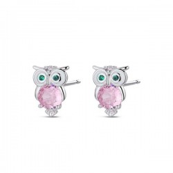 Boucles d'oreilles argent...
