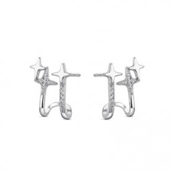 Boucles d'oreilles argent...