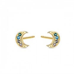 Boucles d'oreilles argent...