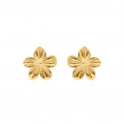 Boucles d'oreilles acier...