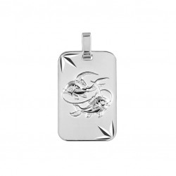 Pendentif argent 925/1000...