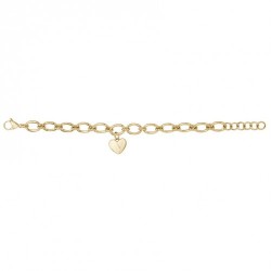 Bracelet acier doré mailles...