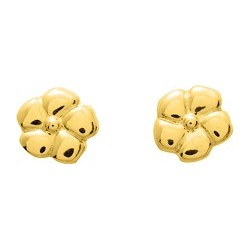 Boucles d'oreilles or...