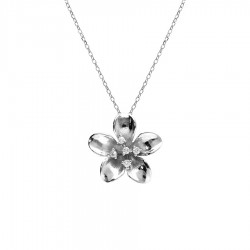 Collier argent 925/1000...