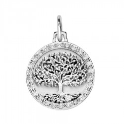 Pendentif argent 925/1000...
