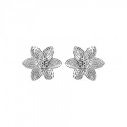 Créoles argent 925/1000...