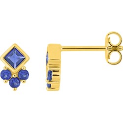 Boucles d'oreilles puces...